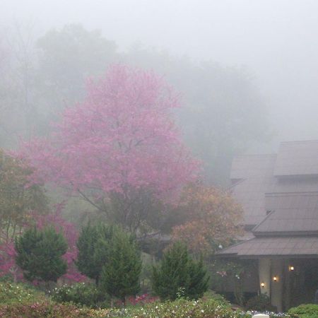 Angkhang Nature Resort Fang Εξωτερικό φωτογραφία