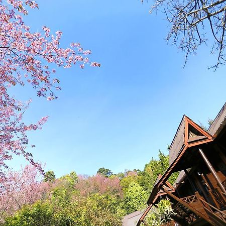 Angkhang Nature Resort Fang Εξωτερικό φωτογραφία