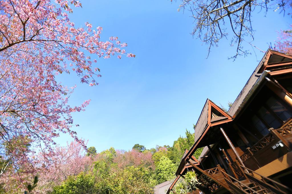 Angkhang Nature Resort Fang Εξωτερικό φωτογραφία